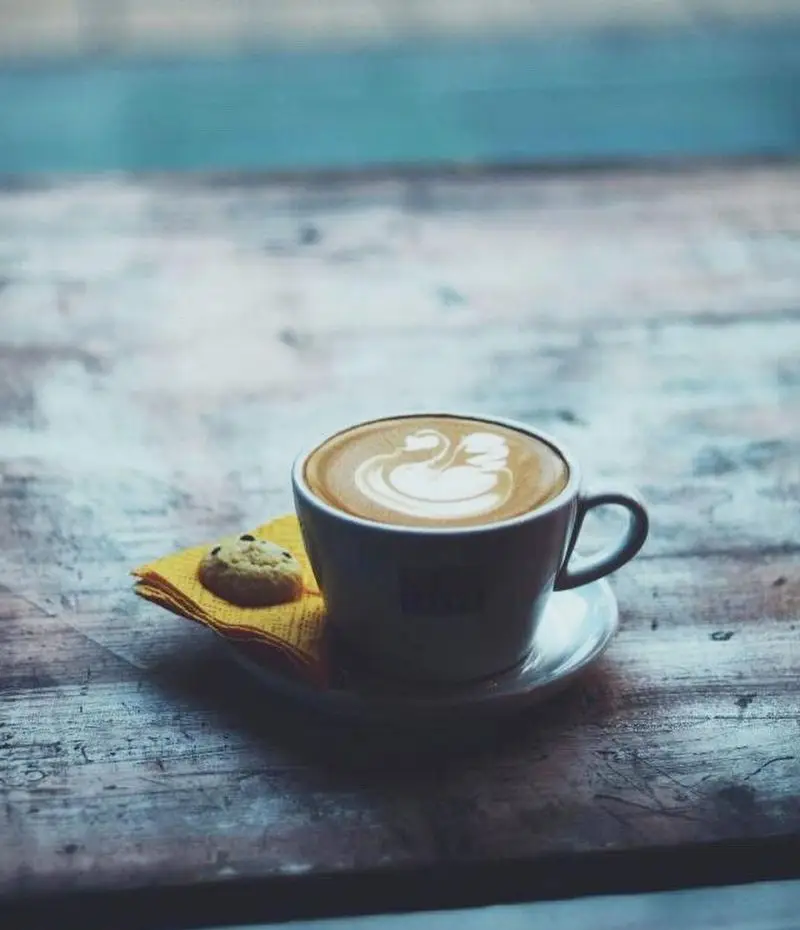 کافه رد: لذت نوشیدن قهوه با لاته آرت قو و کوکی تازه روی میز چوبی. مکانی دنج برای اوقات آرامش‌بخش شما.