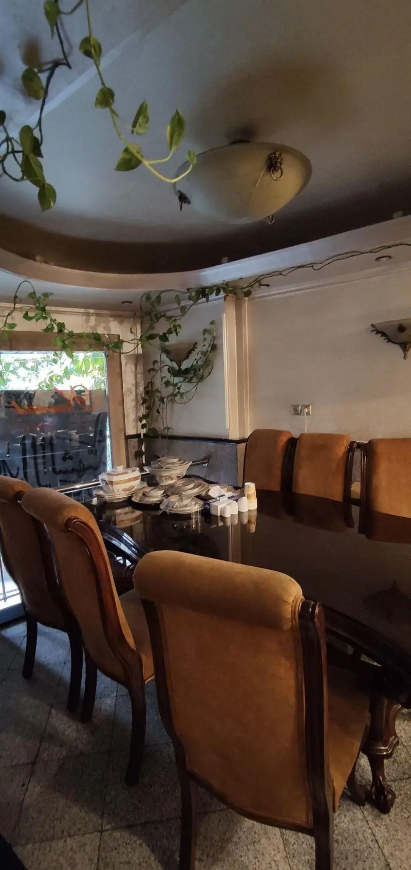 سالن غذاخوری چلوکبابی نصرت با میز چوبی بزرگ، صندلی‌های راحت و دکوراسیون سرسبز گیاهان رونده برای مشتریان.