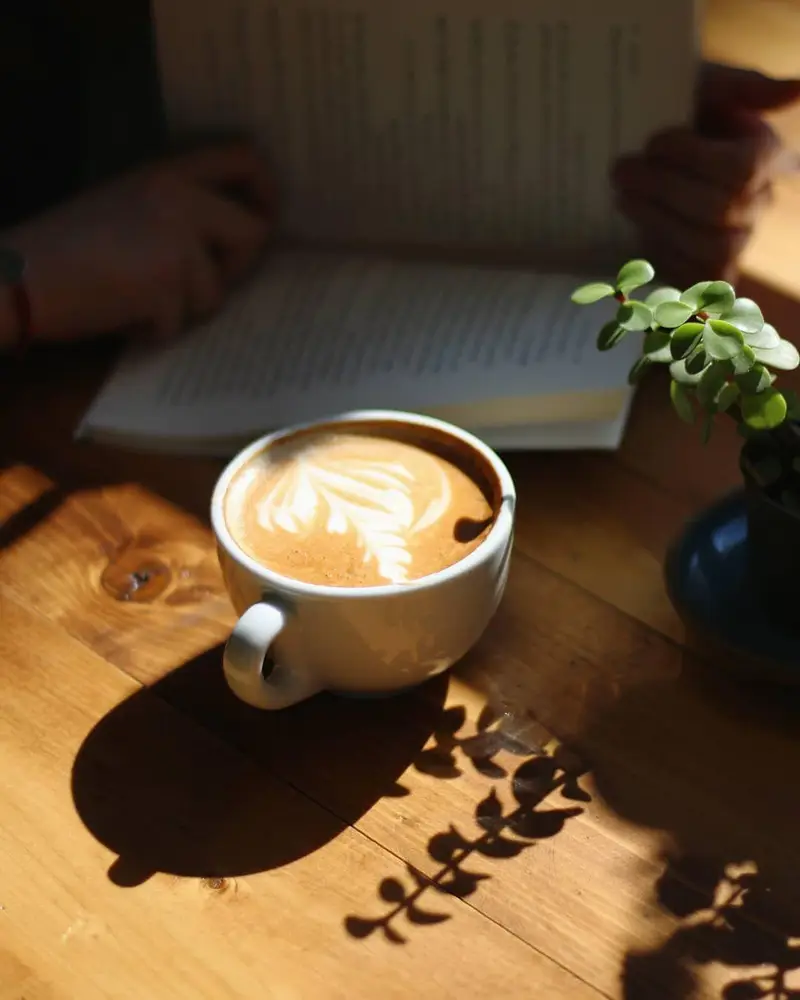 کافه ث: لذت نوشیدن قهوه لاته آرت روی میز چوبی در کنار مطالعه کتاب در فضایی دنج و آرام با نور آفتاب. تجربه‌ای دلنشین.