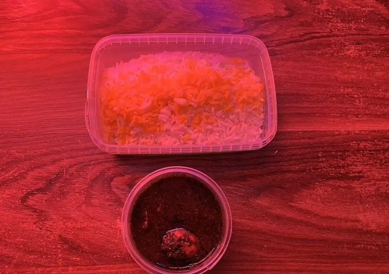 غذای بیرون بر کافه رستوران آرشیو شامل برنج زعفرانی و خورش قورمه سبزی تازه، آماده برای لذت بردن از طعم اصیل ایرانی.