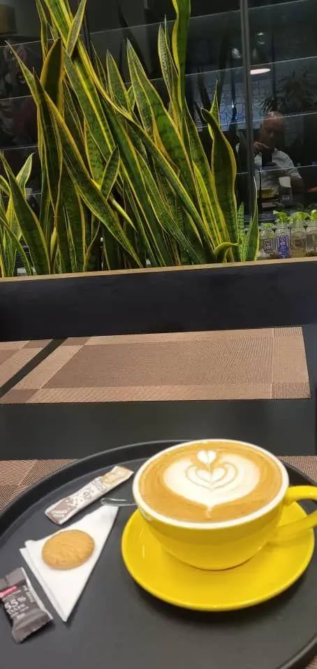 تجربه لذت‌بخش یک لاته آرت زیبا و دلنشین در محیط آرام فودهال نارسیس. شامل فنجان زرد قهوه، کوکی و گیاهان طبیعی در دکور.