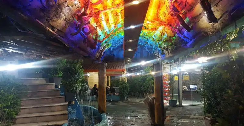 باغچه محسن: فضایی رویایی و سرسبز در شب با سقف‌های رنگارنگ نورپردازی شده، پله‌های سنگی زیبا و فواره‌ای دلنواز. محیطی آرامش‌بخش برای خانواده.