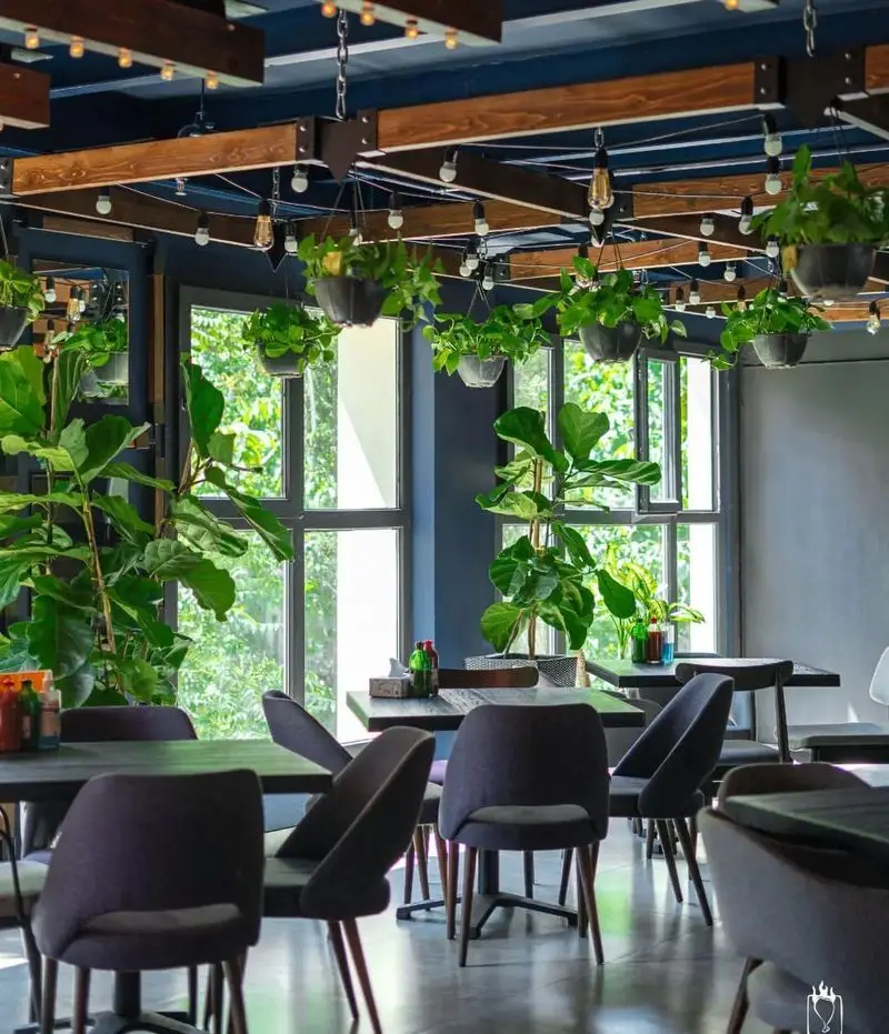 دکوراسیون داخلی فست فود جیلیزویلیز پیروزی، فضایی سبز و آرام با سقف چوبی، گیاهان آویزان، میز و صندلی‌های شیک و نور طبیعی.