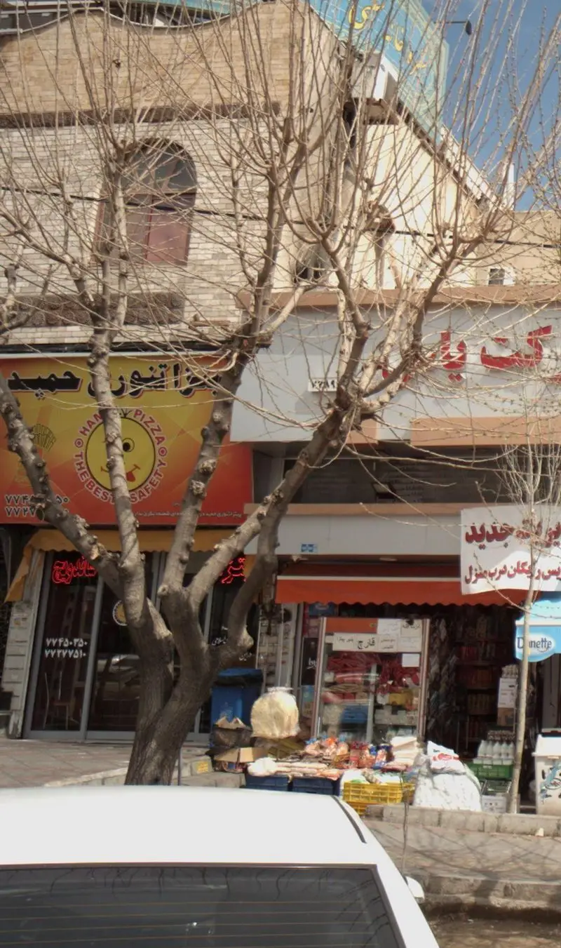 تصویری روشن و کامل از تابلوی پیتزا تنوری حمید و نمای مغازه، در کنار درختان خشک و سایر فروشگاه‌های خیابان اصلی.
