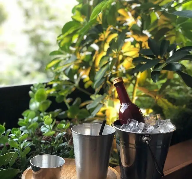 نوشیدنی خنک با سطل یخ و لیوان‌های فلزی روی سینی چوبی در فضای سرسبز و دلپذیر کافه رستوران مستان.