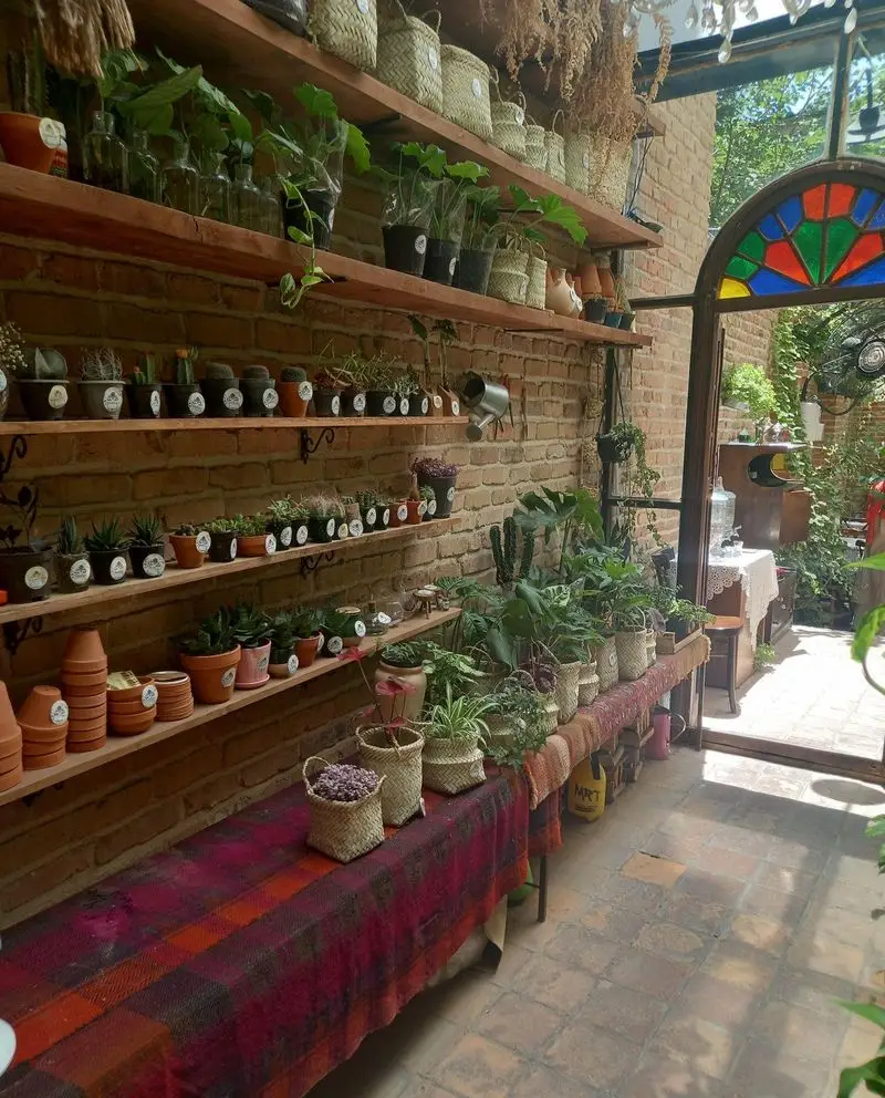 فضای دلنشین کافه کتاب نیکو: شلف‌های چوبی با گل و گیاه، کاکتوس و سبدهای حصیری کنار دیوار آجری. در ورودی رنگی به حیاط.