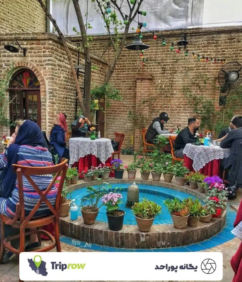 فضای دلنشین حیاط کافه کتاب نیکو با دیوارهای آجری، حوض آبی و گلدان‌ها، مکانی عالی برای استراحت و مطالعه در تهران.