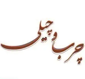 لوگوی نام تجاری کبابی چرب و چیلی، معرف طعم‌های لذیذ و چرب و چیلی کباب‌های اصیل و غذای سنتی ایرانی این رستوران محبوب. این تصویر، هویت بصری قوی کسب و کار را نشان می‌دهد.