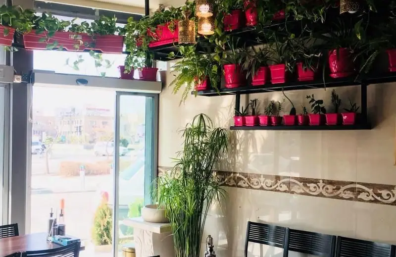 تصویری از محیط داخلی فست فود ریحانه، با گلدان‌های صورتی رنگ حاوی گیاهان سبز آویزان و قفسه‌های پر از گل و گیاه، فضایی روشن و دلپذیر برای مشتریان.