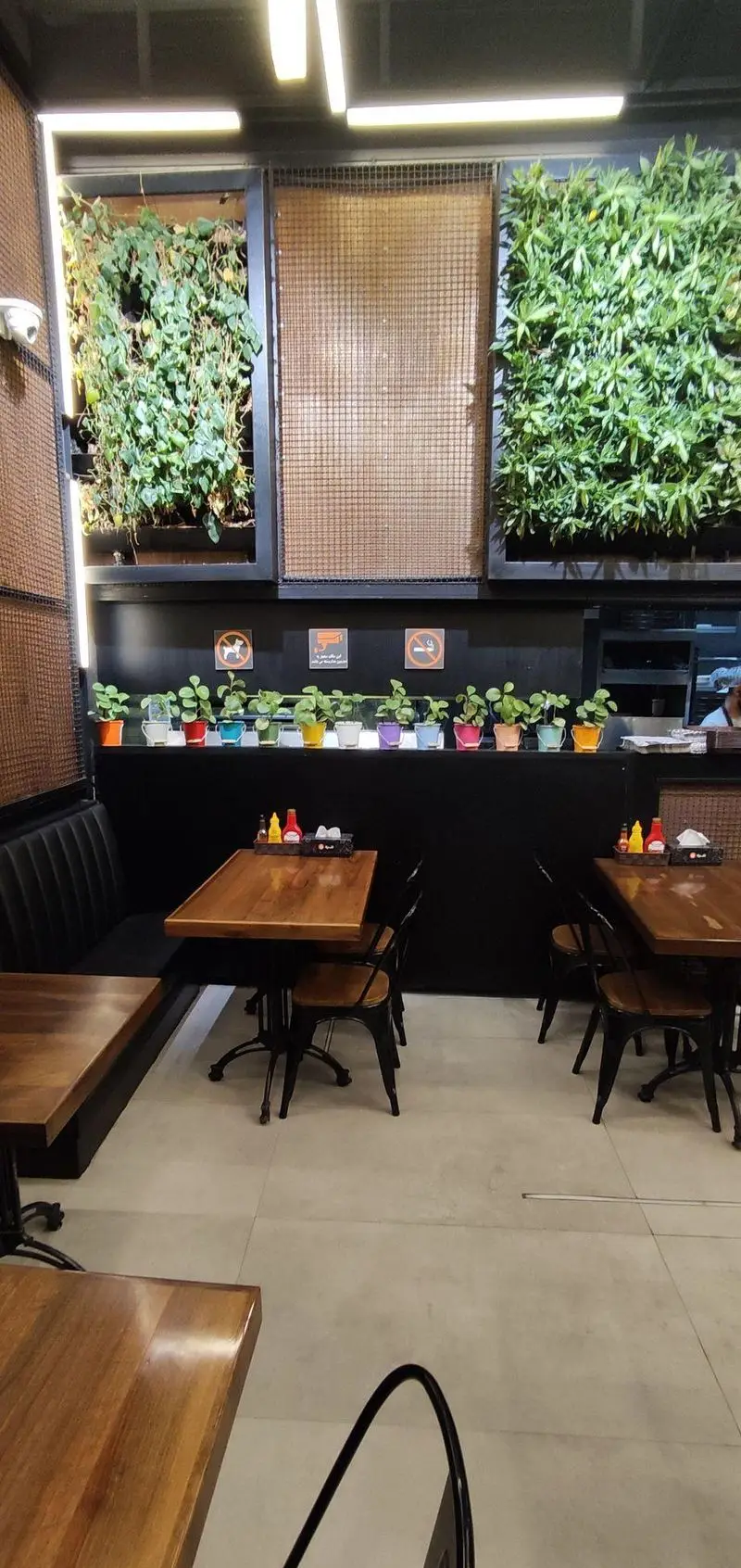 نمایی از فضای داخلی فست فود شیلا شعبه دولت، با دکوراسیون مدرن و شیک، شامل میزهای چوبی، صندلی‌های راحت و دیوار سبز جذاب.