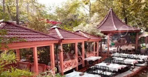 فضای باز دلنشین کافی شاپ اس پی یو با آلاچیق‌های چوبی و میز و صندلی‌های آماده در میان طبیعت سرسبز برای تجربه‌ای خاص.