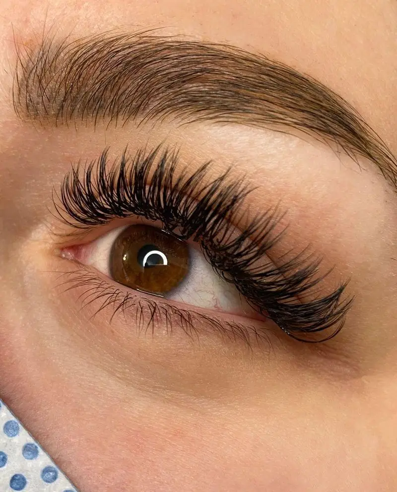 نمونه کار حرفه‌ای اکستنشن مژه والیوم مشکی و پرپشت با حالت کاملا طبیعی به همراه لیفت ابرو در سالن زیبایی تخصصی مژه