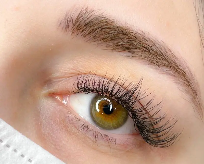 کاشت و اکستنشن مژه والیوم طبیعی با ماندگاری بالا به همراه لیفت ابرو، نمونه کار حرفه‌ای سالن زیبایی و آرایش چشم