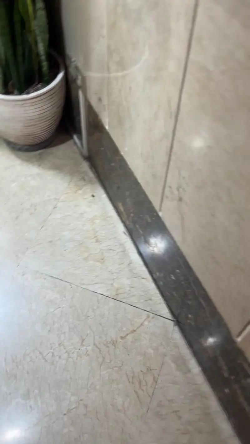 فضای داخلی کافه پارس با دکوراسیون مدرن، شامل گلدان زیبای سانسوریا، کفپوش مرمر و دیوارها، محیطی آرامش‌بخش و شیک.