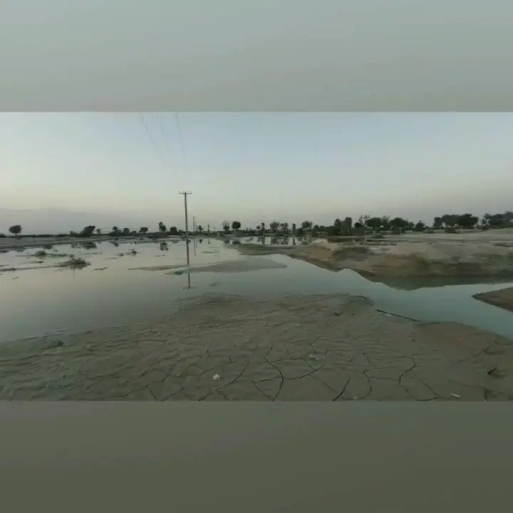 منظره وسیع از زمین‌های آبگرفته و خاک خشک ترک‌خورده در یک دشت، با دکل برق و درختانی پراکنده در افق روشن.