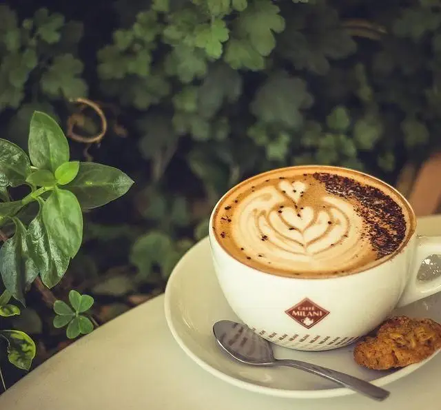 کاپوچینو با لاته آرت قلبی و پودر شکلات در کافه فلورین. فنجانی دلنشین از قهوه گرم در محیطی سبز و آرامش‌بخش، همراه با کوکی.