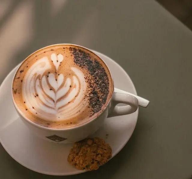 فنجانی از کاپوچینوی هنرمندانه با لاته آرت قلبی و پودر کاکائو، روی سینی سفید، در کافه فلورین. یک کوکی کوچک کنار نوشیدنی گرم شماست.