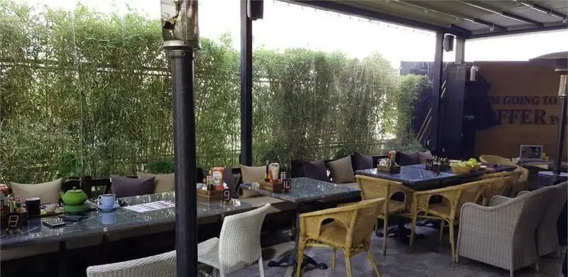 فضای دلنشین و سرسبز کافی شاپ دینارو با میز و صندلی‌های راحت و دکوراسیون زیبای بامبو برای گذراندن اوقاتی خوش.