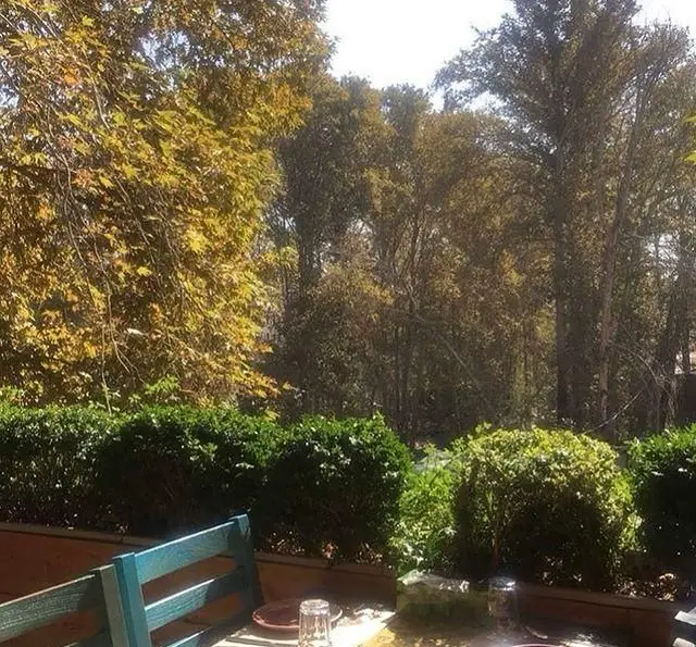 منظره پاییزی دلپذیر از فضای باز ایوان رستوران، ایده‌آل برای یک وعده غذایی آرامش‌بخش در دل طبیعت.