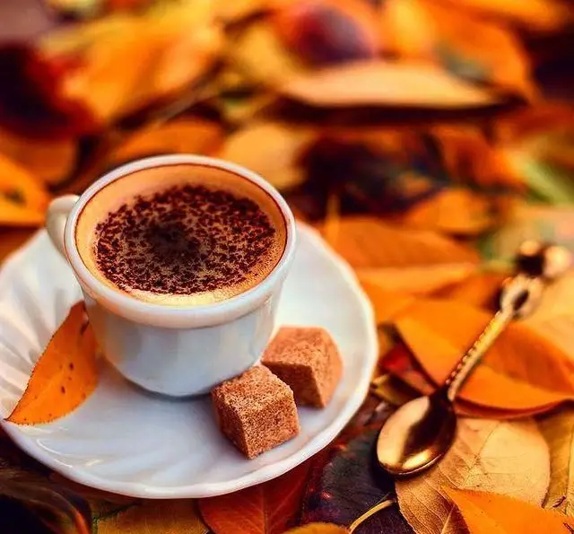 کاپوچینو گرم و خوش‌عطر کافه پندار، با پودر کاکائو و حبه‌های قند قهوه‌ای، در پس‌زمینه‌ای از برگ‌های پاییزی نارنجی. بهترین نوشیدنی برای پاییز.