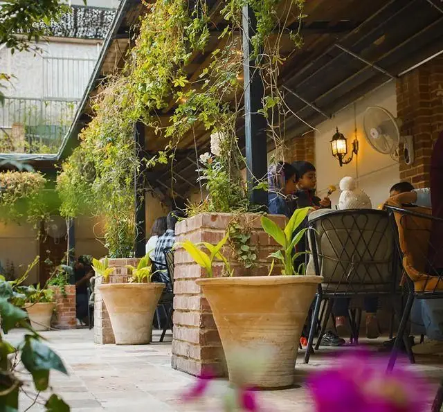 کافه رستوران دایموند: محیطی دلنشین و سرسبز با سقف پوشیده از گیاهان رونده و میزهای مشتریان در فضای باز.