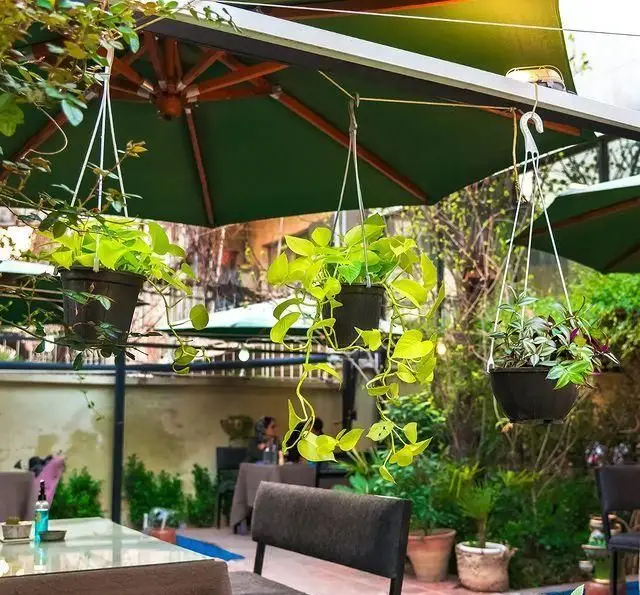فضای باز دلنشین کافه رستوران خانه فرهنگ و هنر سرهنگ با چترهای سبز و گلدان‌های آویز، محیطی دنج و فرهنگی را ارائه می‌دهد.