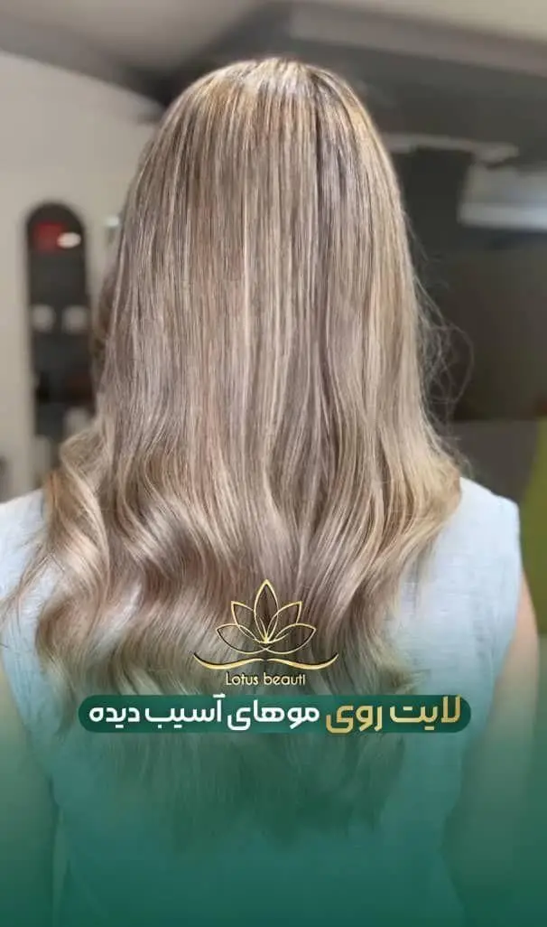 اجرای حرفه ای لایت روی موهای آسیب دیده با تکنیک های نوین رنگ و مش جهت احیا و درخشندگی موها در سالن زیبایی لوتوس بیوتی