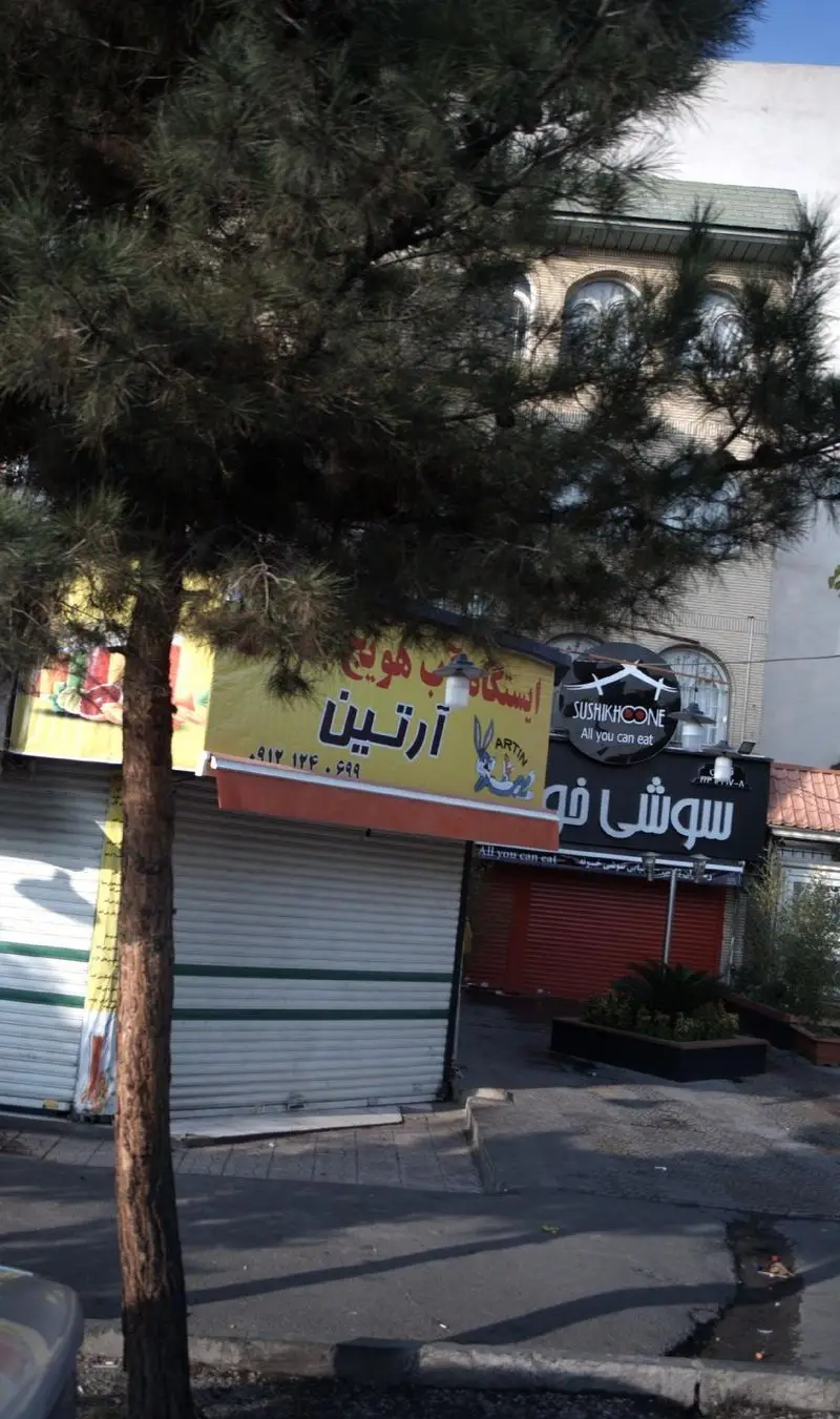 تابلوی زرد "ایستگاه آب هویج آرتین" با لوگوی خرگوش و شماره ۰۹۱۲۱۴۶۰۶۹۹، در کنار تابلوی مشکی "سوشی خونه". نمای خیابان با کرکره‌های بسته.