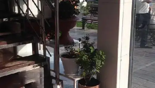 فضای داخلی دنج آشکده دارچین با پله‌های چوبی و نرده استیل، گلدان‌های زینتی و چشم‌انداز زیبای بیرونی، آماده میزبانی شما.