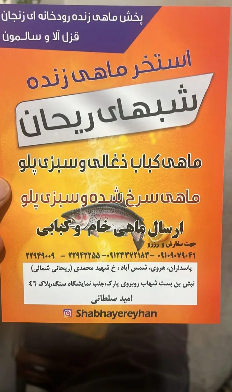 ماهی زنده قزل آلا و سالمون از زنجان، ماهی کباب ذغالی و سرخ شده با سبزی پلو، ارسال ماهی خام و کبابی توسط ماهی سرا شب های ریحان.