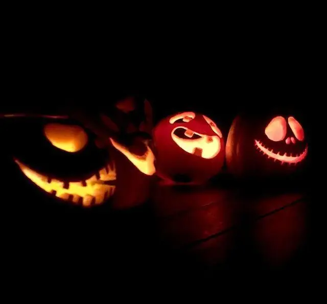 تصویری خیره‌کننده از کدو تنبل‌های هالووین درخشان با چهره‌های متفاوت در تاریکی. لحظاتی گرم و به یاد ماندنی با پاستا چنگال.