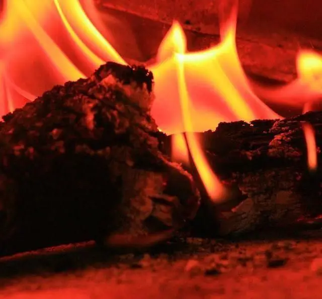 هیزم‌های سوزان و شعله‌های دلنشین آتش در پاستا چنگال، نمادی از پخت پاستاهای گرم و لذیذ با طعمی اصیل و تازه برای شما.