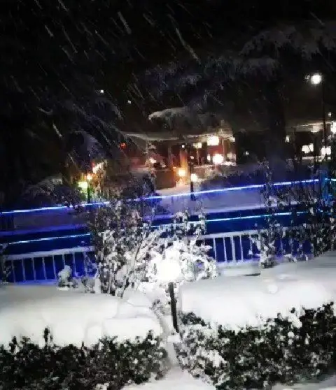 رستوران مروارید در شبی برفی و دلنشین، با نورپردازی آبی در فضا و درختان پوشیده از برف، تصویری زیبا و آرامش‌بخش از زمستان.