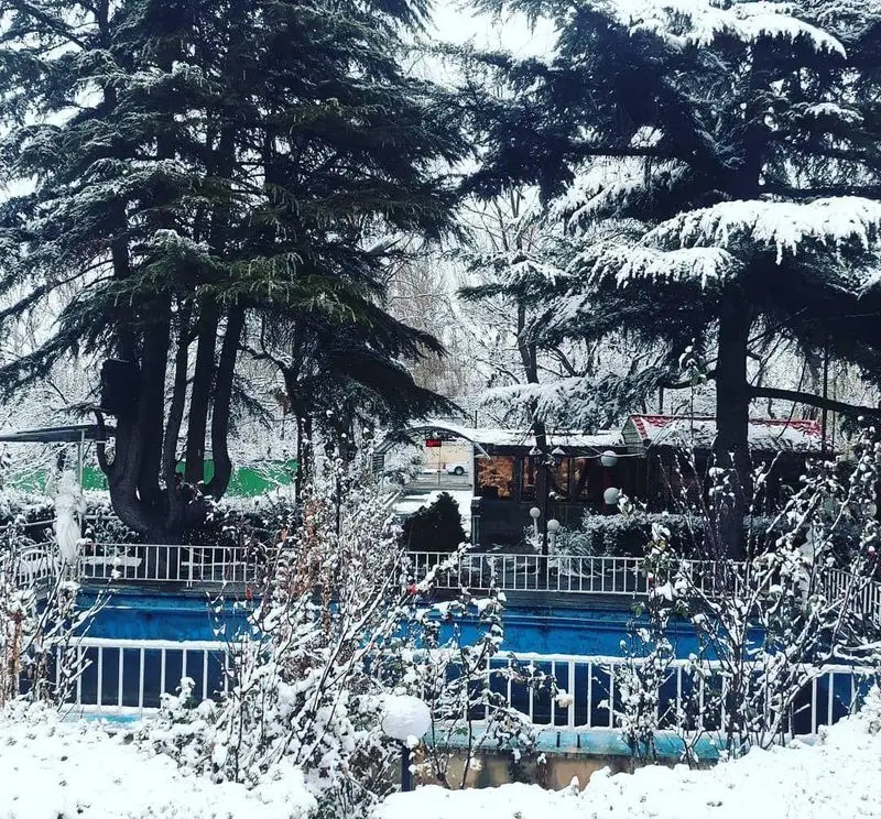 تصویری از رستوران مروارید در یک روز برفی زمستانی، با درختان سرو سرسبز و پوشیده از برف، فضایی دنج و زیبا برای مهمانان.