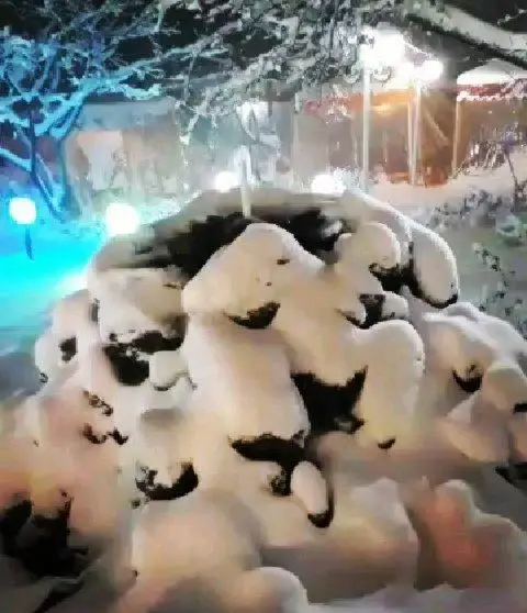 رستوران مروارید در شبی برفی: نمایی دلنشین از فضای زمستانی با نورپردازی گرم و آبی، درختان و دکوراسیون پوشیده از برف، محیطی رویایی.