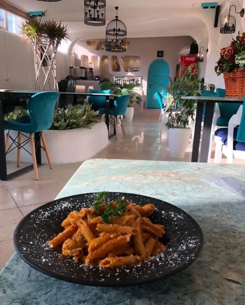 نمایی از پاستا پنه لذیذ سرو شده در کافه رستوران حیات نو با دکوراسیون داخلی مدرن، صندلی‌های فیروزه‌ای و گیاهان زینتی.