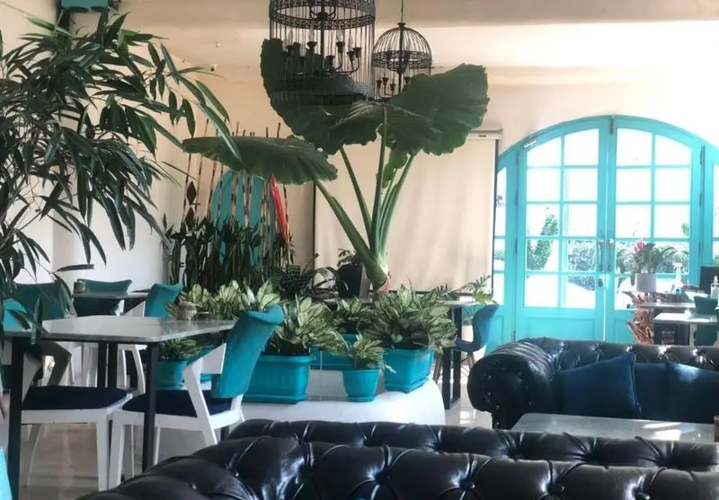 فضای داخلی جذاب کافه رستوران حیات نو با دکوراسیون خاص و مدرن، مبلمان فیروزه‌ای، گیاهان آپارتمانی و سقف بلند.