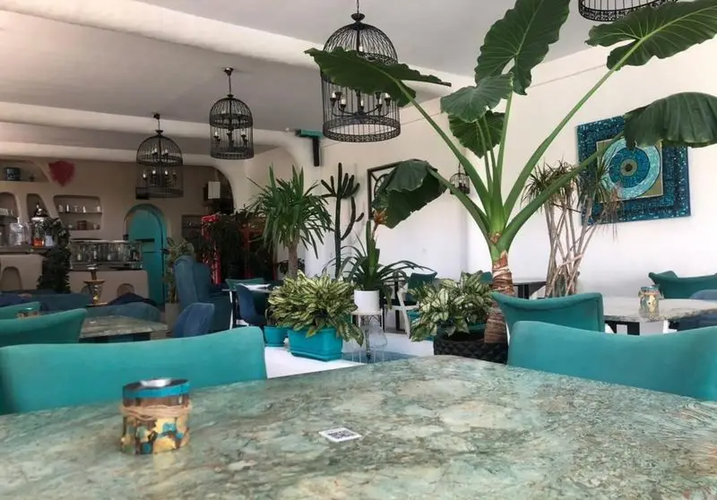 فضای داخلی دلباز کافه رستوران حیات نو با دکوراسیون سرسبز، گیاهان بزرگ، مبلمان فیروزه‌ای و لوسترهای قفسی. محیطی آرام و دلنشین.