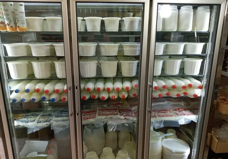 نمایی از یخچال پربار فروشگاه لبنیات سنتی دهکده: شیر، ماست، پنیر و انواع محصولات لبنی تازه و محلی دست‌ساز