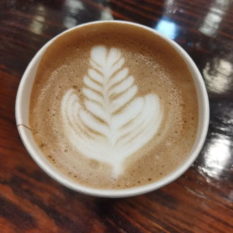 طعم دلپذیر قهوه لاته آرت با طراحی هنرمندانه برگ در فست فود کیان گریل، نوشیدنی ایده‌آل برای تکمیل تجربه غذایی شما در این مجموعه.