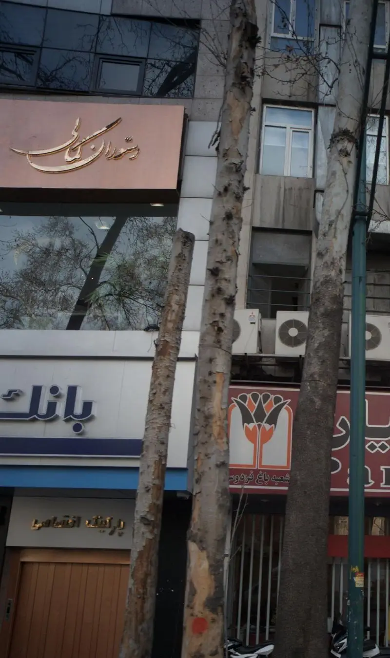 نمای ساختمان رستوران کمالی با تابلوی طلایی رنگ و خطاطی برجسته، بازتاب شاخه درختان در شیشه ها و سر در بانک پایین آن.