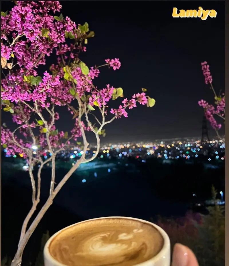 منظره شب دلنشین کافه رستوران لمیاء با قهوه لاته گرم و شکوفه‌های ارغوانی. چشم‌انداز زیبای شهر از تراس کافه لمیاء.