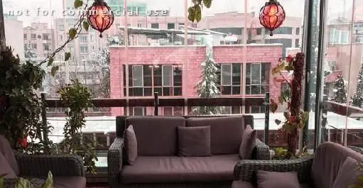 تصویری از فضای شیشه‌ای و گرم کافی شاپ ویونا پلاس با مبلمان راحت، گیاهان سبز و نمای برفی شهر در فصل زمستان.