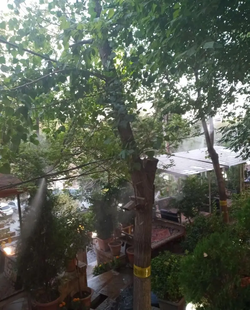 فضای باز و سرسبز رستوران چهلستون با درختان، گیاهان گلدانی، سیستم مه پاش و قالی سنتی، محیطی دلنشین و آرامش‌بخش.