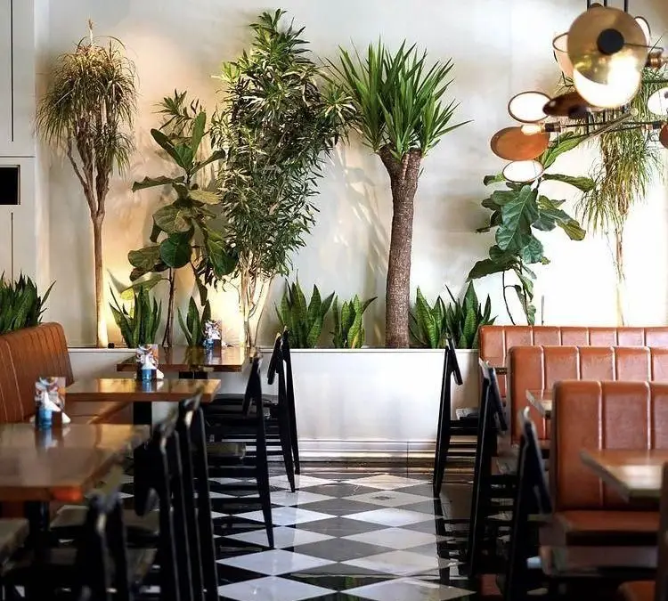 دکوراسیون داخلی رستوران جو با فضای سبز، میز و صندلی چوبی و چرمی، و کفپوش شطرنجی، محیطی مدرن و دلنشین برای صرف غذا.