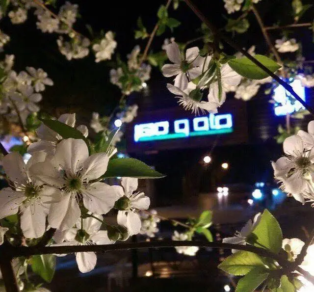 شب‌هنگام در رستوران ماه و مهر، شکوفه‌های سفید زیبا و نورپردازی آرامش‌بخش، فضایی دلنشین برای تجربه طعم‌های بی‌نظیر غذا.