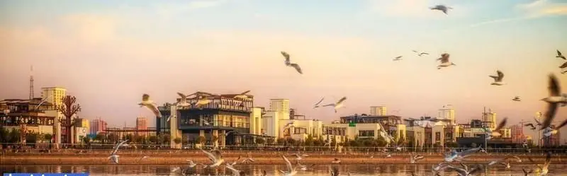 منظره‌ای چشم‌نواز از مجموعه بام لند تهران در کنار دریاچه چیتگر هنگام غروب آفتاب، با پرواز مرغان دریایی و معماری مدرن ساختمان‌ها.