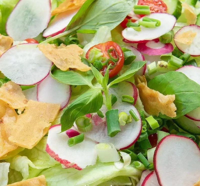 سالاد سبز و قرمز تازه شامل تربچه، گوجه فرنگی، کاهو، پیازچه و نان ترد، پیشنهادی سالم از فست فود دونر گاردن پاسداران.