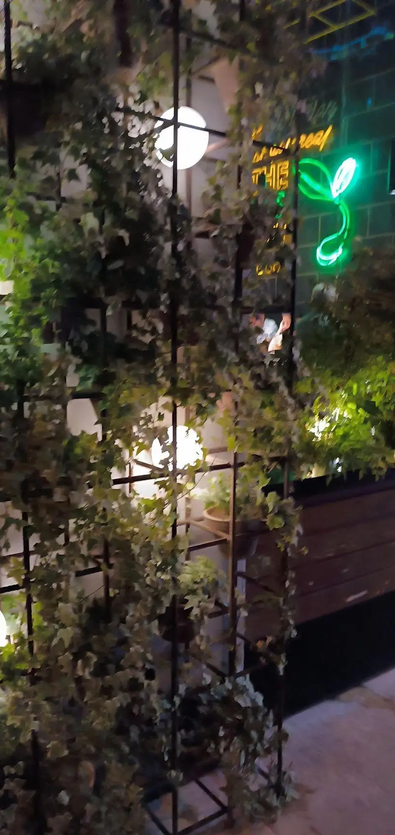 تصویری از فضای سبز و دیوار پوشیده از گیاه فست فود دونر گاردن پاسداران در شب با نورپردازی گرم و دلنشین، ایده‌آل برای یک وعده خوشمزه.