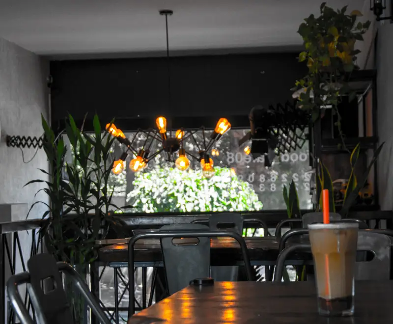 تصویری از فضای دلنشین کافه ۰۸ با لوستر مدرن و نور گرم، گیاهان سبز، میز و صندلی فلزی صنعتی و نوشیدنی سرد آماده سرو.